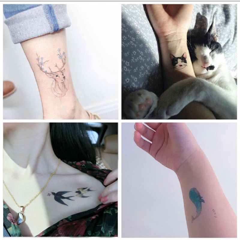 Grosir Termurah Tato Hewan Kucing burung Paus Rusa Aesthetic Lucu - Tatto Temporer Animal berwarna, Tato temporary Stiker Tato Halal Dewasa Dreamcatcher