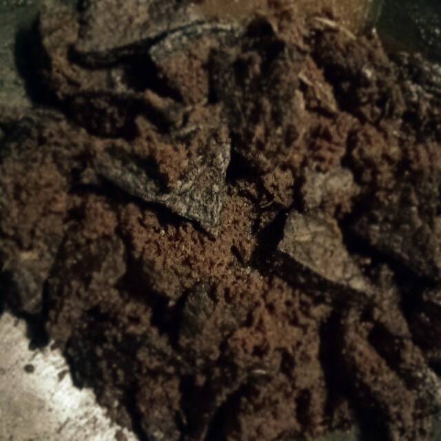 

Rendang Paru