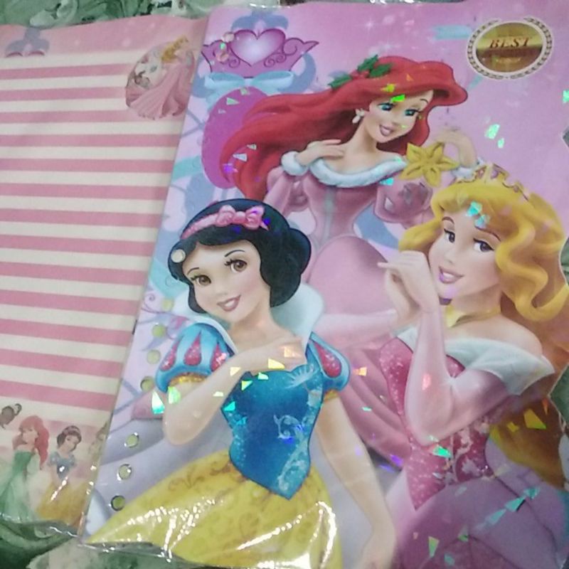 Binder Princess isi binder Disney