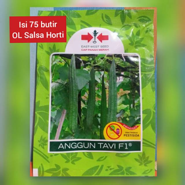 Gambas / oyong hibrida ANGGUN TAVI F1