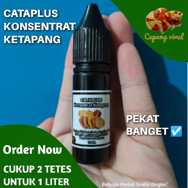 Cataplus - Konsentrat Ketapang 15ML