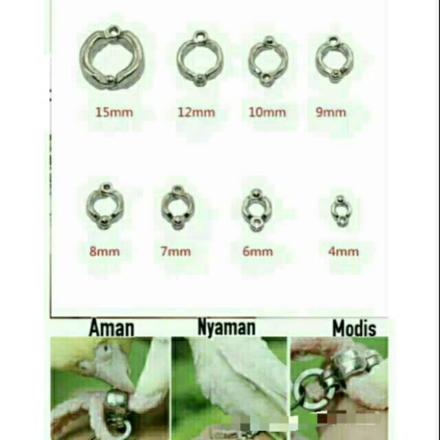 Ring borgol kaki burung parrot,  nuri, betet, kakak tua dll
