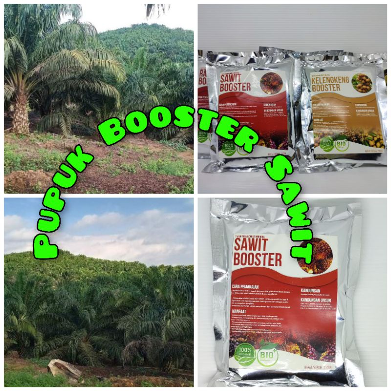 Pupuk booster SawitMurah Pupuk booster buah organik non kimia pupuk cair kilat npk urea merah peleba