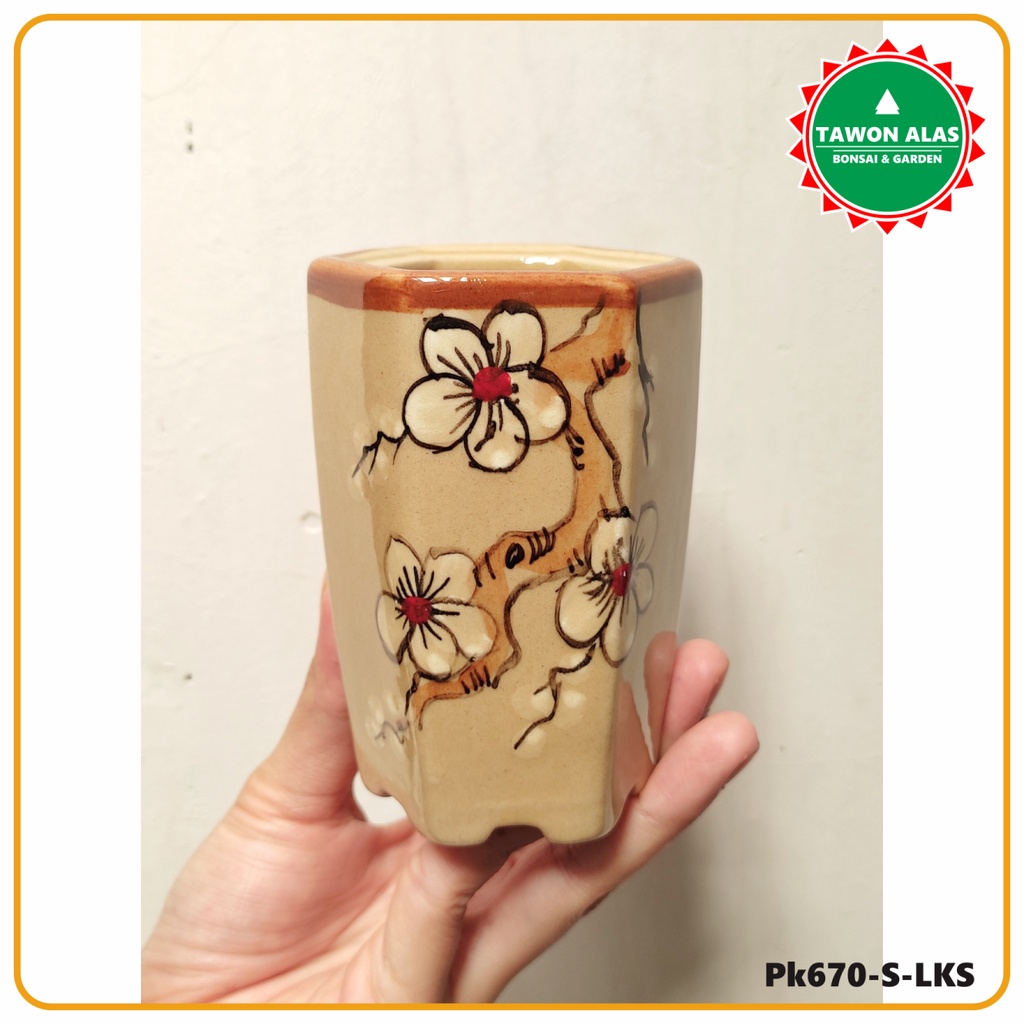 Pot Bonsai Keramik Segi Enam Tinggi