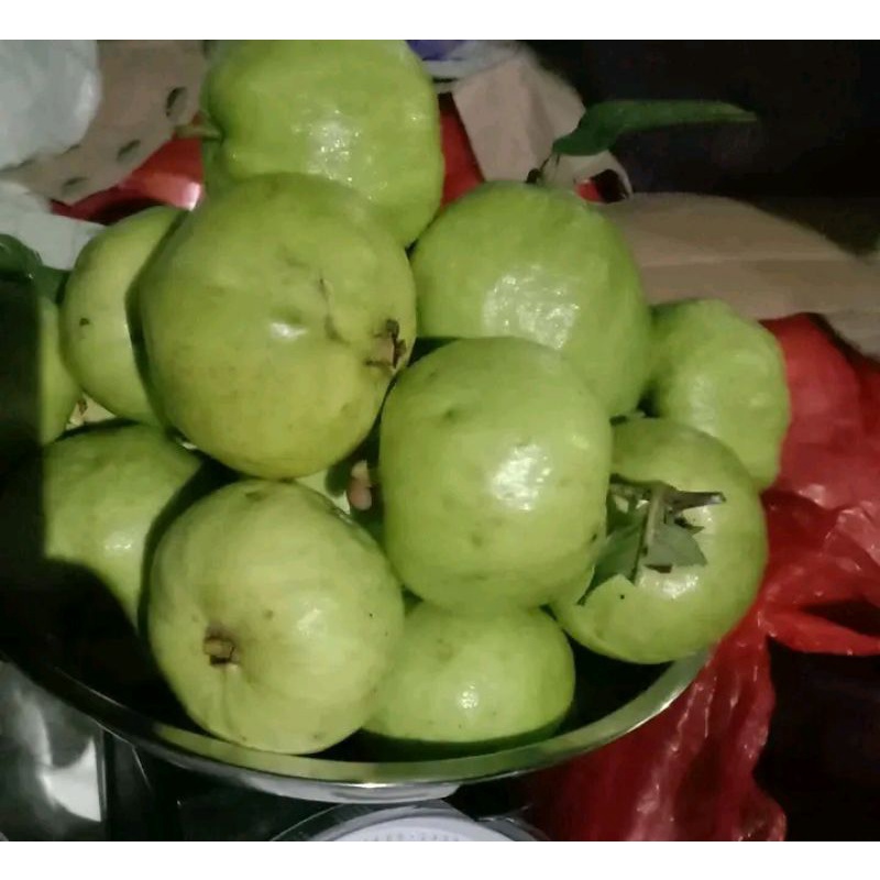 

JAMBU KRISTAL FRESH 1 KG