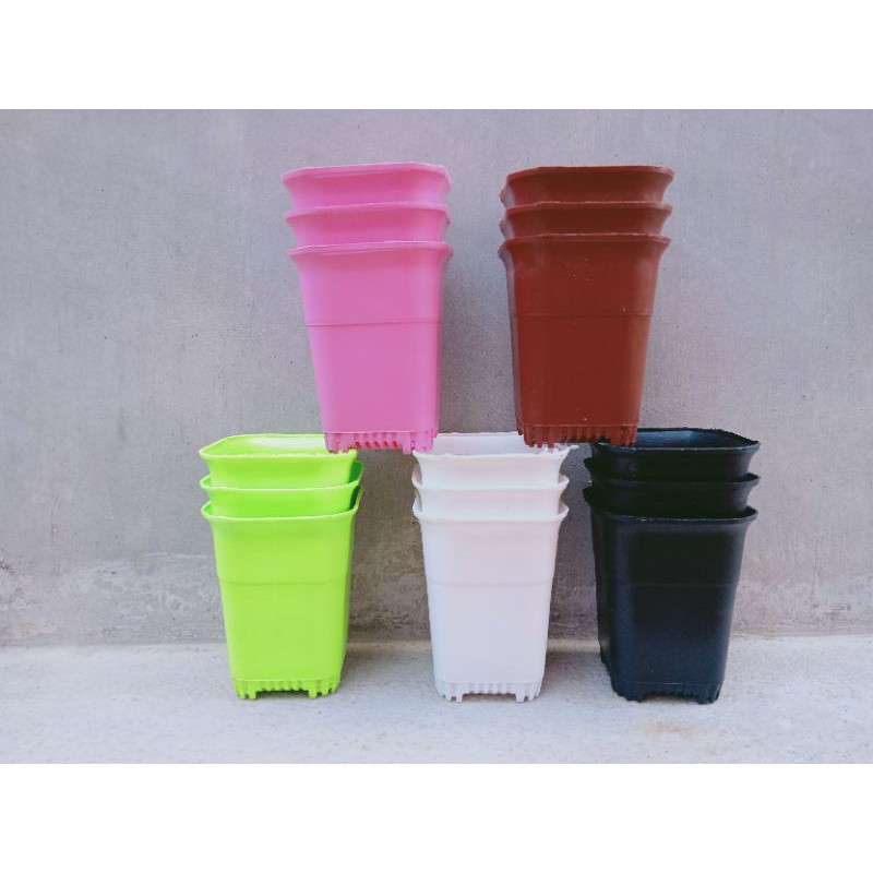 Pot Kotak warna | pot kaktus | pot sekulen