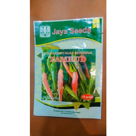 10 Benih Biji cabe Rawit hijau Merunduk ZAMRUD