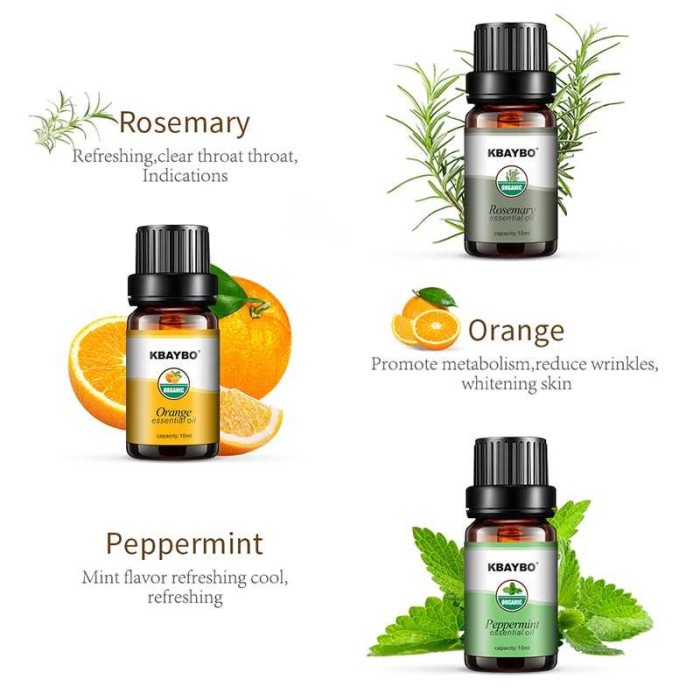 Premium Minyak Aromaterapi Essential Oil Difuser 10ML 6 Botol aroma