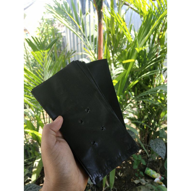 Polybag ukuran kecil