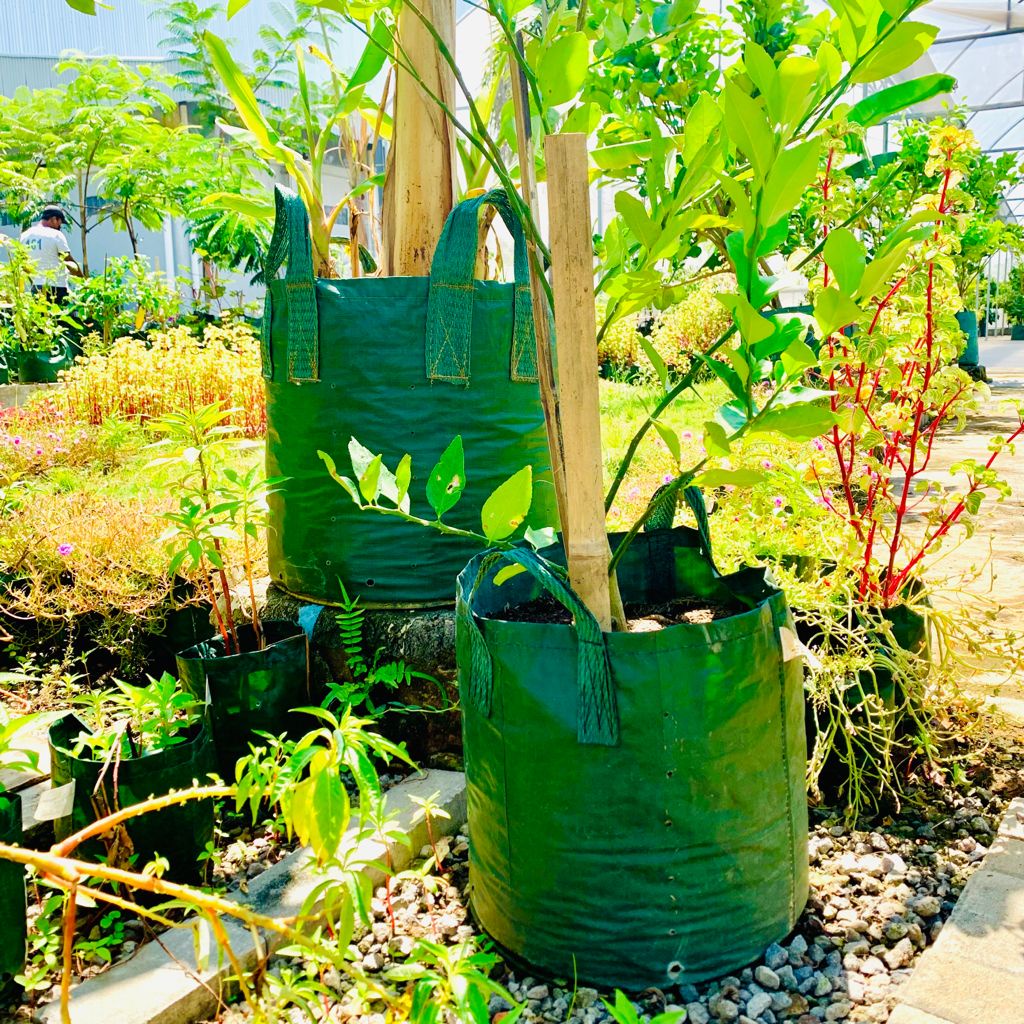 Planter Bag Eco Pack 50 Liter Grow Bag Ecopack Kualitas Premium Tabulampot