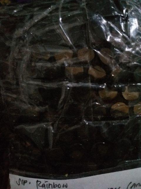 Plastic Mop Holder / Mop Clip / Mop Handle