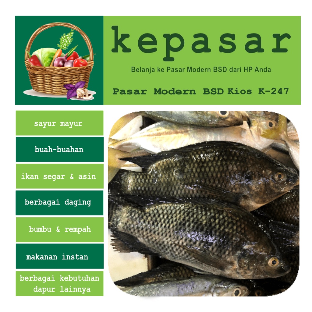

Ikan Mujair 500 g