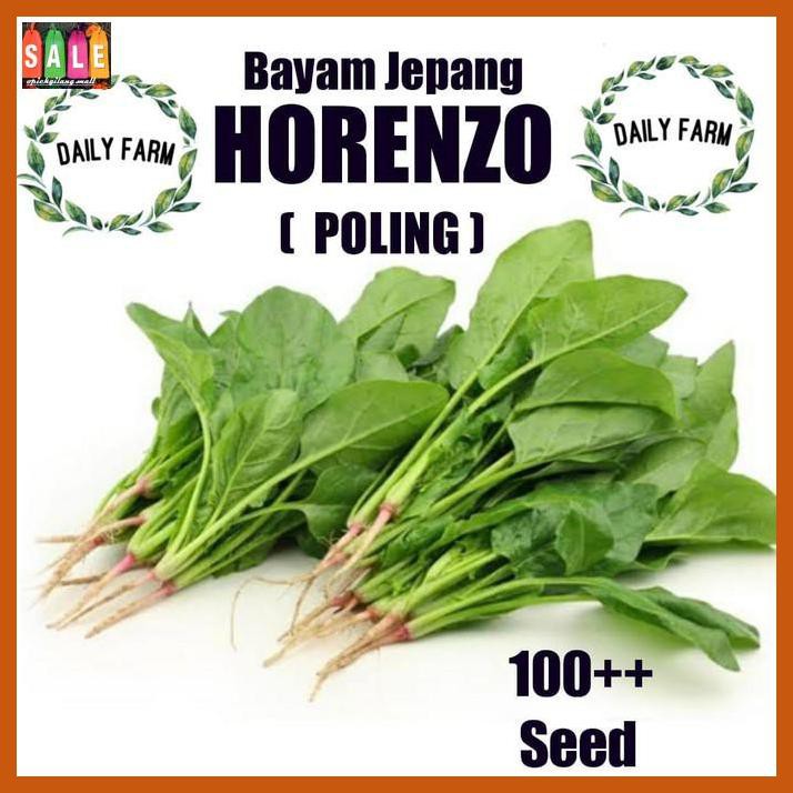 

Sanhiataman- Benih Bibit Bayam Jepang Horenso - Daun Poling Horenzo Kemasan Repack -Rumah-Tangga.