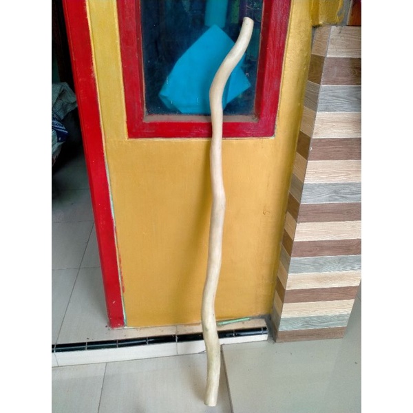 tongkat jalan kayu ranting Cendana Kupang