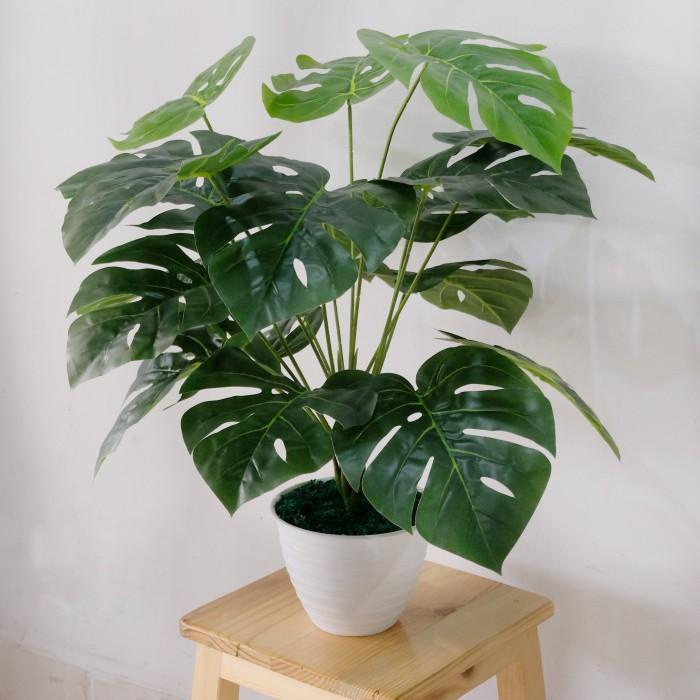 Tanaman Plastik Monstera