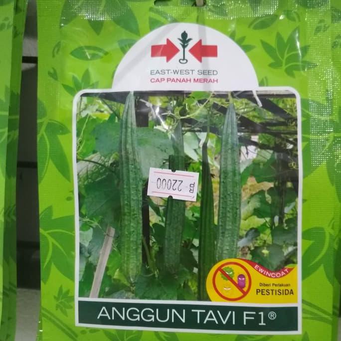 Benih/Oyong Anggun Tavi F1 _
