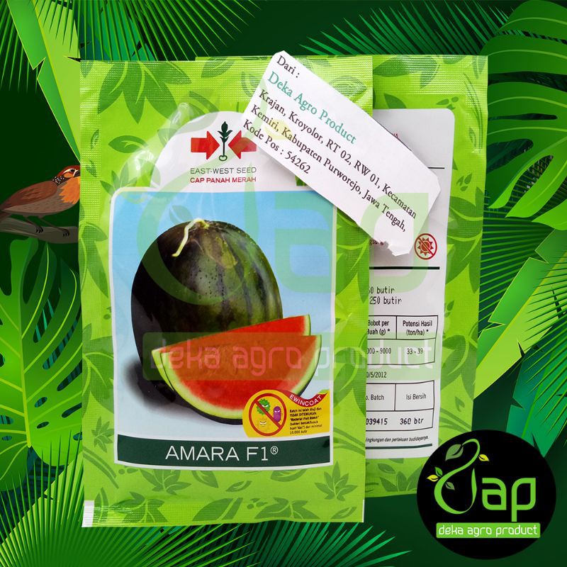 BIBIT BENIH SEMANGKA NON BIJI AMARA F1 360 BUTIR