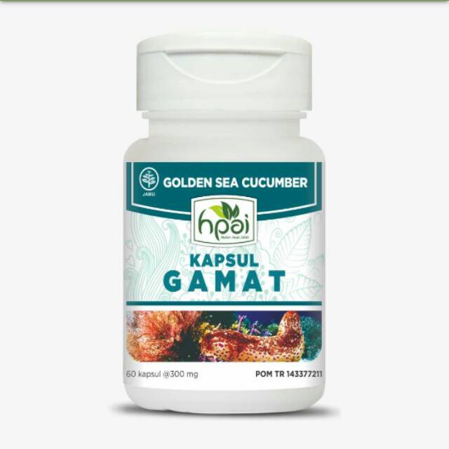 Gamat Kapsul hpai