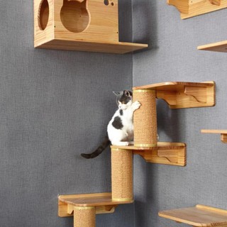 Terbaru Rumah Kucing Lompat Dinding - Kotak Kucing - Kandang 