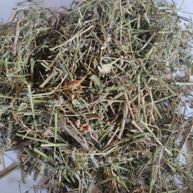 

Teh Kering Daun Pare Siap Seduh Tea Daun Pare Hutan