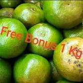 

Jeruk Peras | Jeruk Pontianak 1 Kg + Gratis Bonus