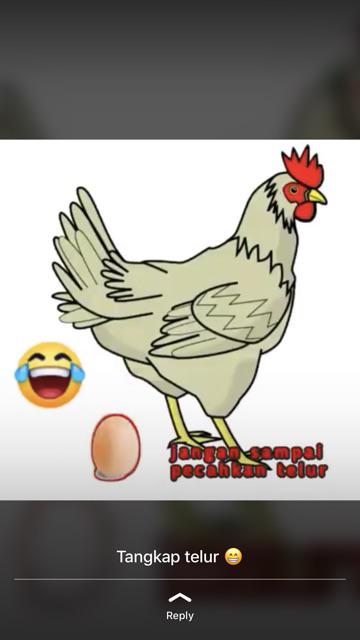 Plastik Olshop Murah 25x35