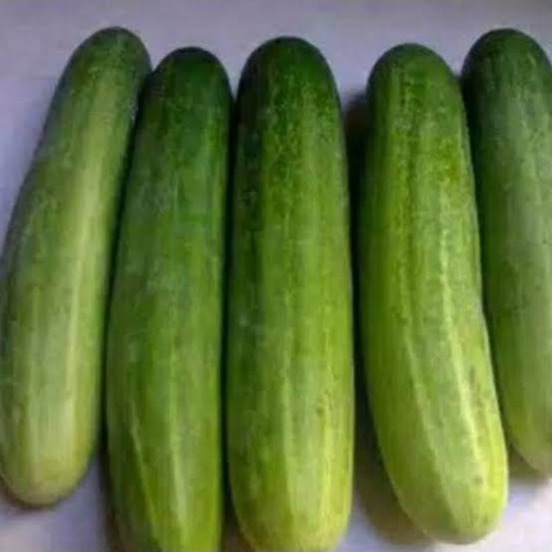 

Timun Fresh 500 Gram