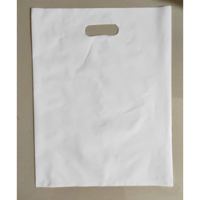 Plastik PE Plong 25x35 PREMIUM 0.5 Micron Isi 100