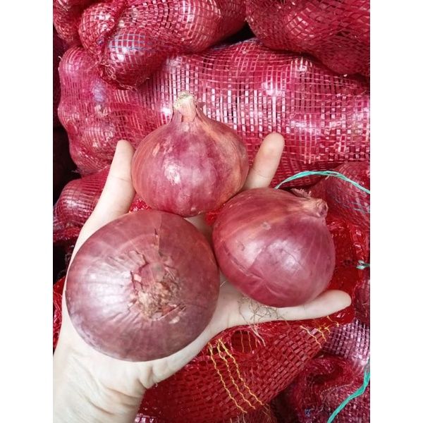 

bawang india peking