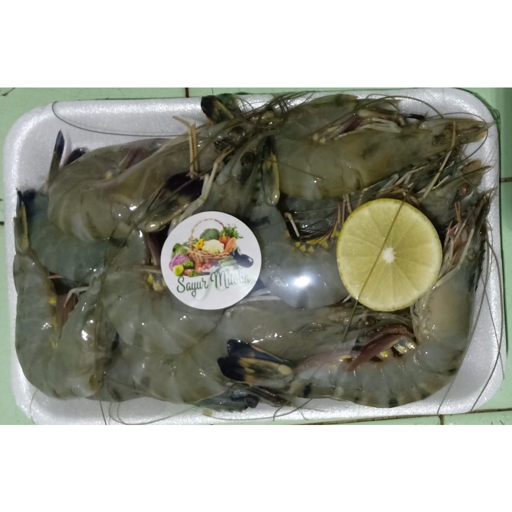 Jual Udang Besar Udang Besar Kupas Seafood Segar Pasar Online