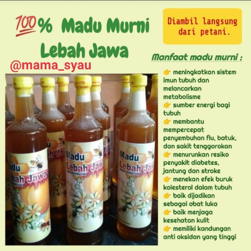 Madu lebah jawa 100% madu murni