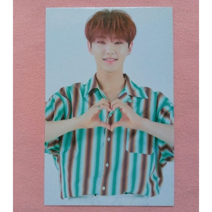 TradingCard/TC Seventeen Hoshi Ode To You