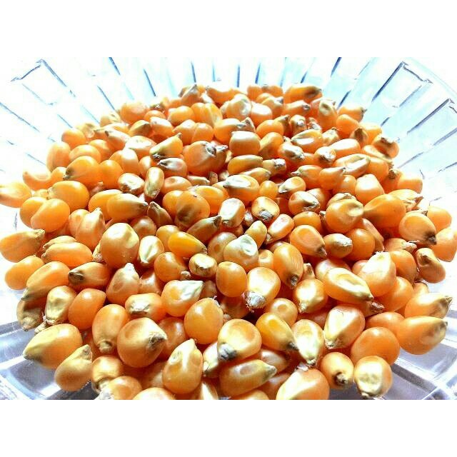 

Jagung POPCORN 200 Gram