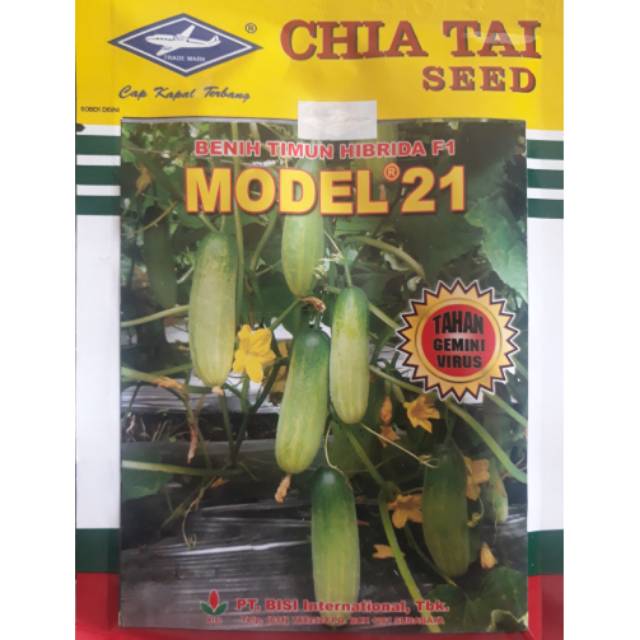 Timun Hibrida F1 MODEL 21