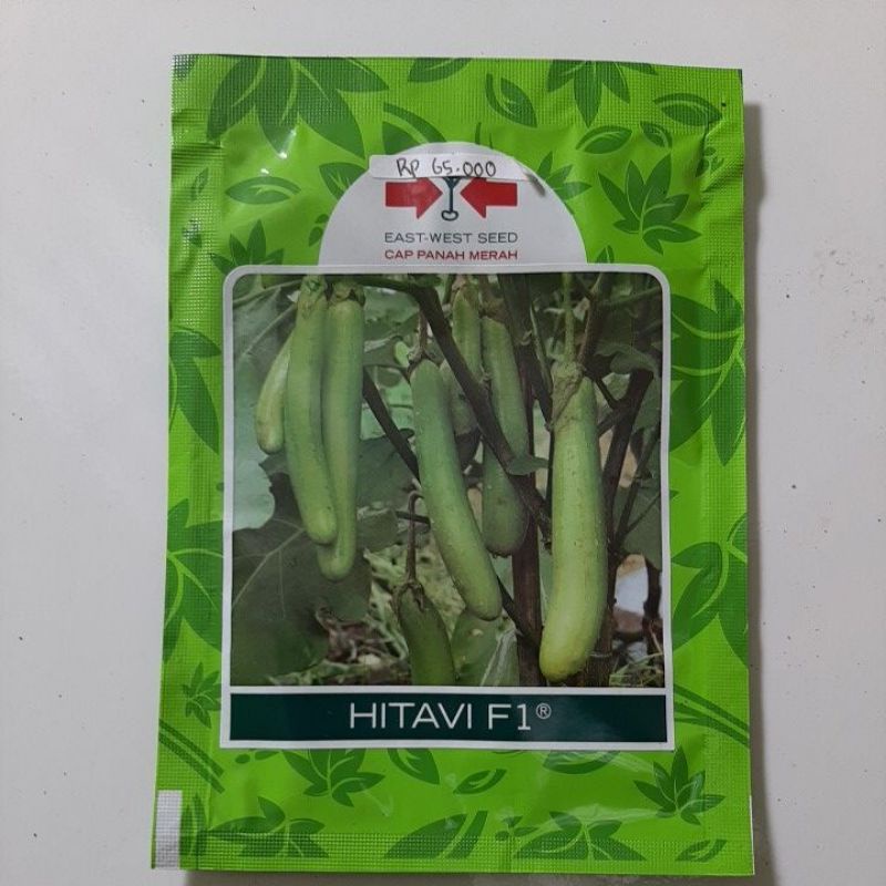 TERONG HIJAU HITAVI F1 PANAH MERAH