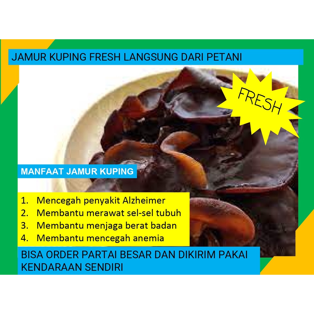 

Jamur Kuping Fresh Box Langsung Dari Petaninya