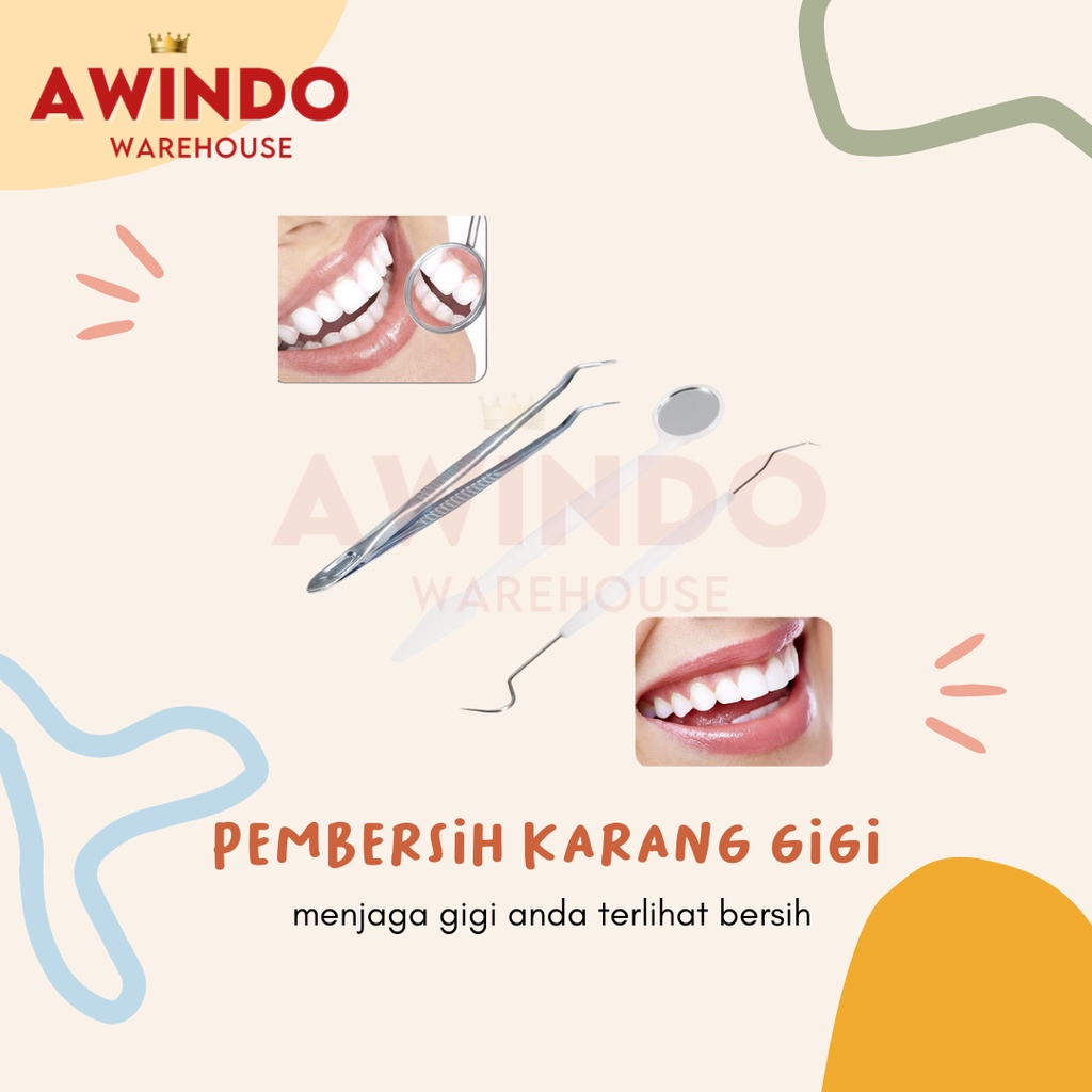 PEMBERSIH KARANG GIGI - Alat Pembersih Kotoran Karang Mulut Gigi Plak Dental Instrument Hook Pinset Kaca