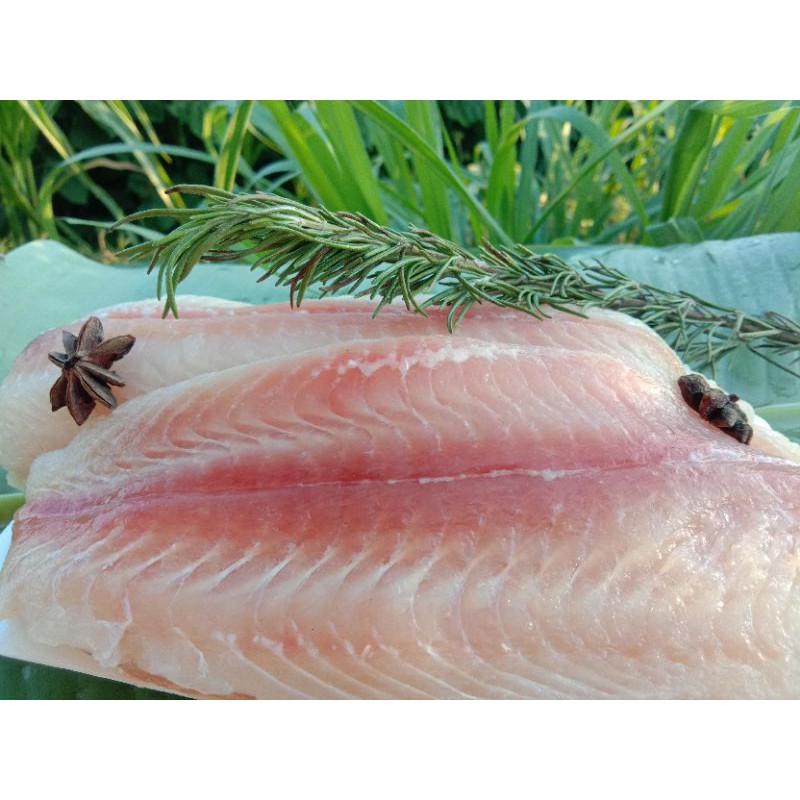 

ikan dori fillet termurah dan terlaris 1 kg harga promo diskon grosir