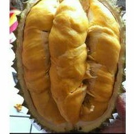 

Durian bawor banyumas