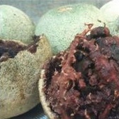 

Buah Kawis / Buah Kawista | Harga 1 Buah