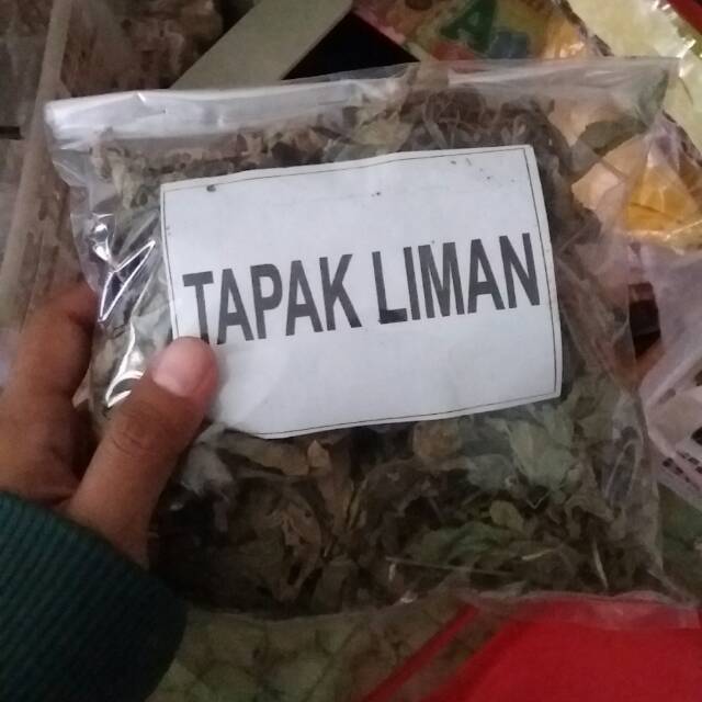 

Tapak liman / Jamu / tradisional/ tinggal seduh seduh