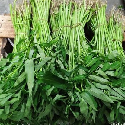 

Kangkung 1 ikat besar