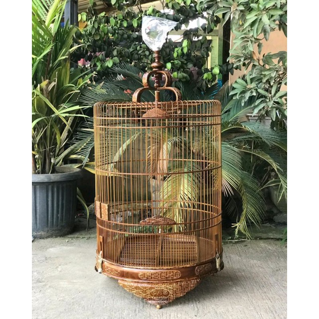 sangkar burung murai, sangkar ukir cukit, sangkar jati