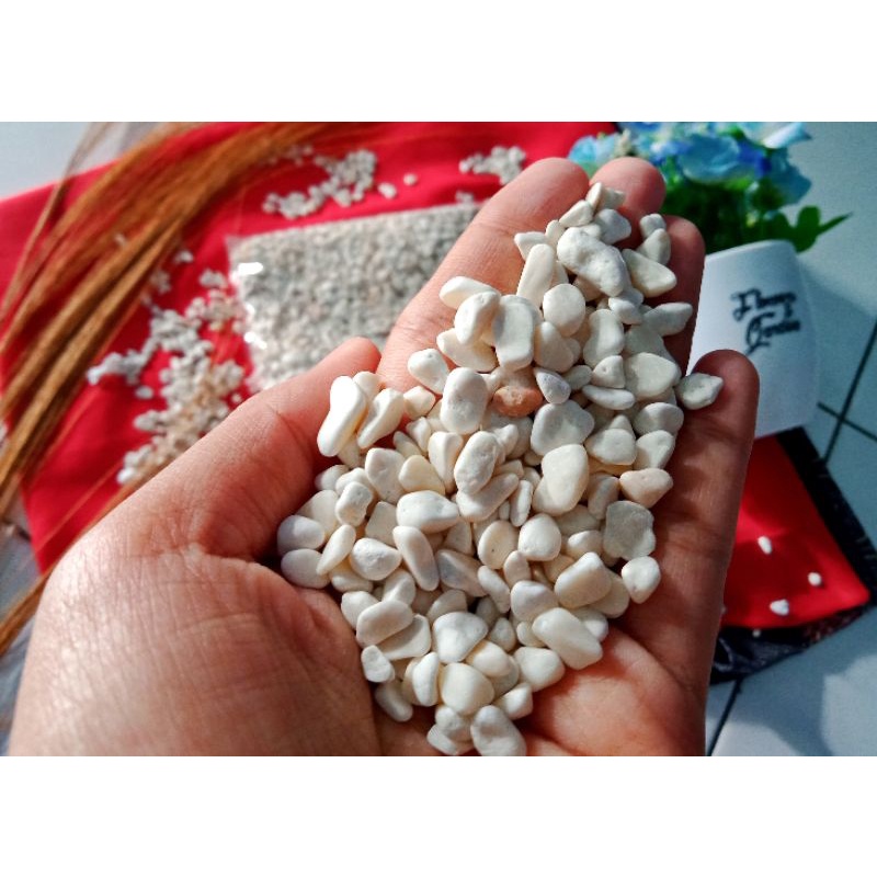 batu koral hias  || batu koral putih salju || batu hias tanaman putih salju || batu hias akuarium  |