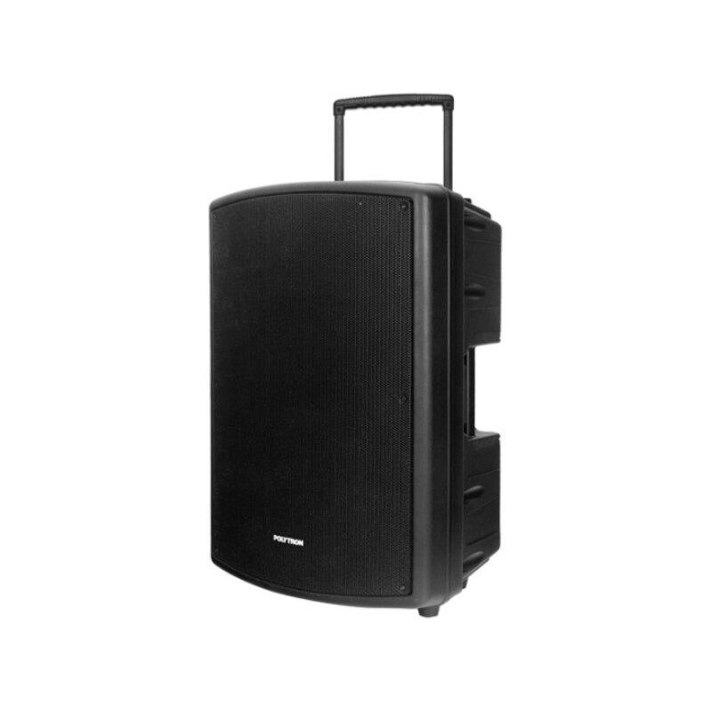 BIG SALE      PROFESSIONAL ACTIVE SPEAKER POLYTRON PASPRO15F2/PASPRO 15F2