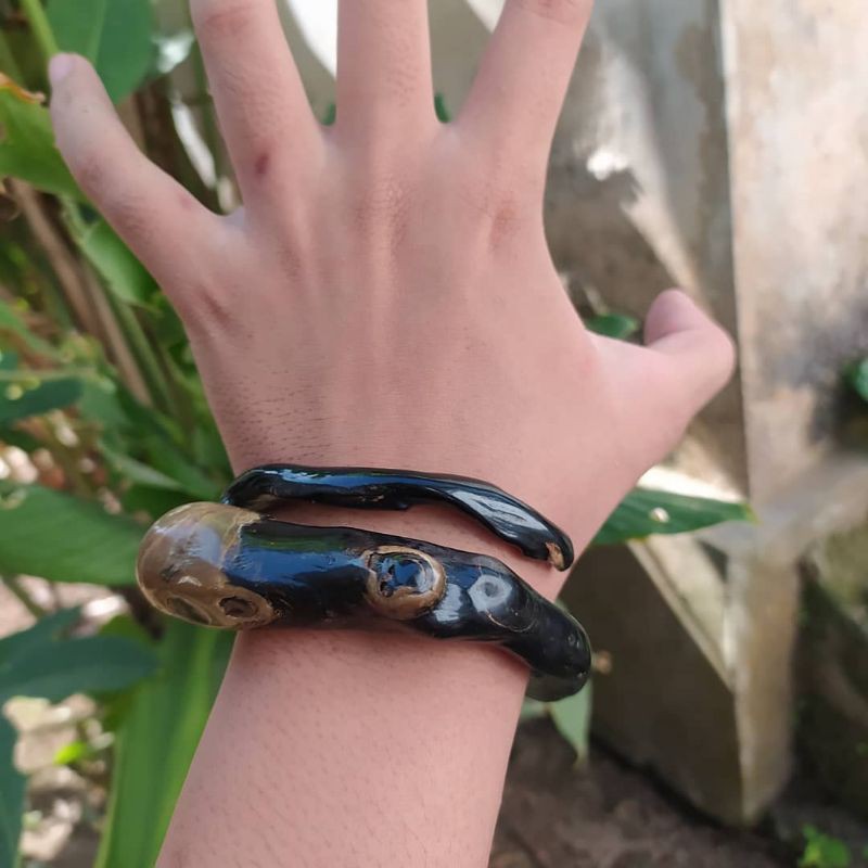 akar Bahar bonggol berbatu alami