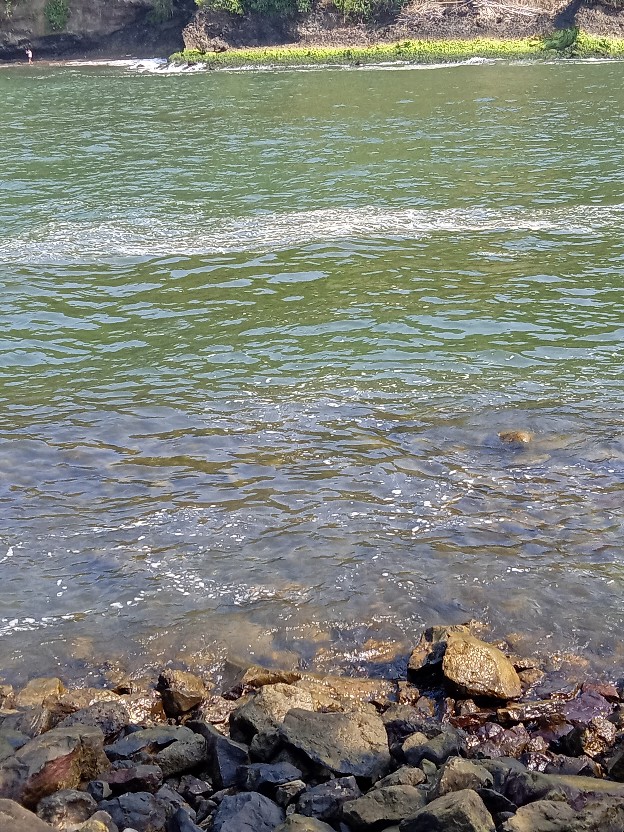 Wibowo Kemeja Batik - Chapra Black