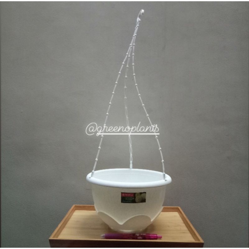 Pot Tanaman Gantung Lion Star Clover 7 Putih