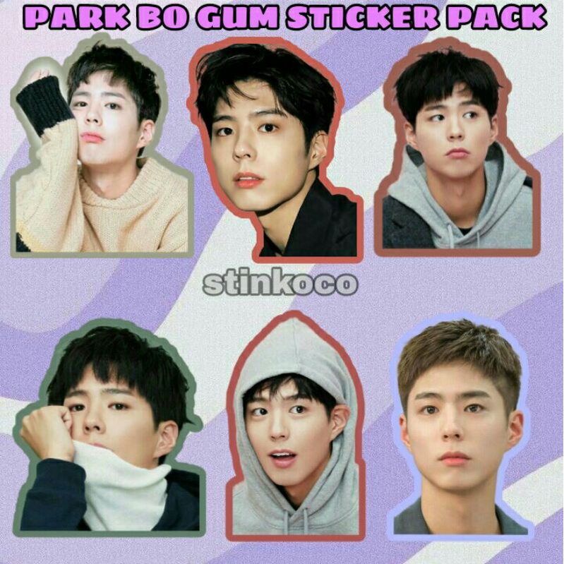 

[30PCS] STICKER PARK BO GUM/RECORD OF YOUTH