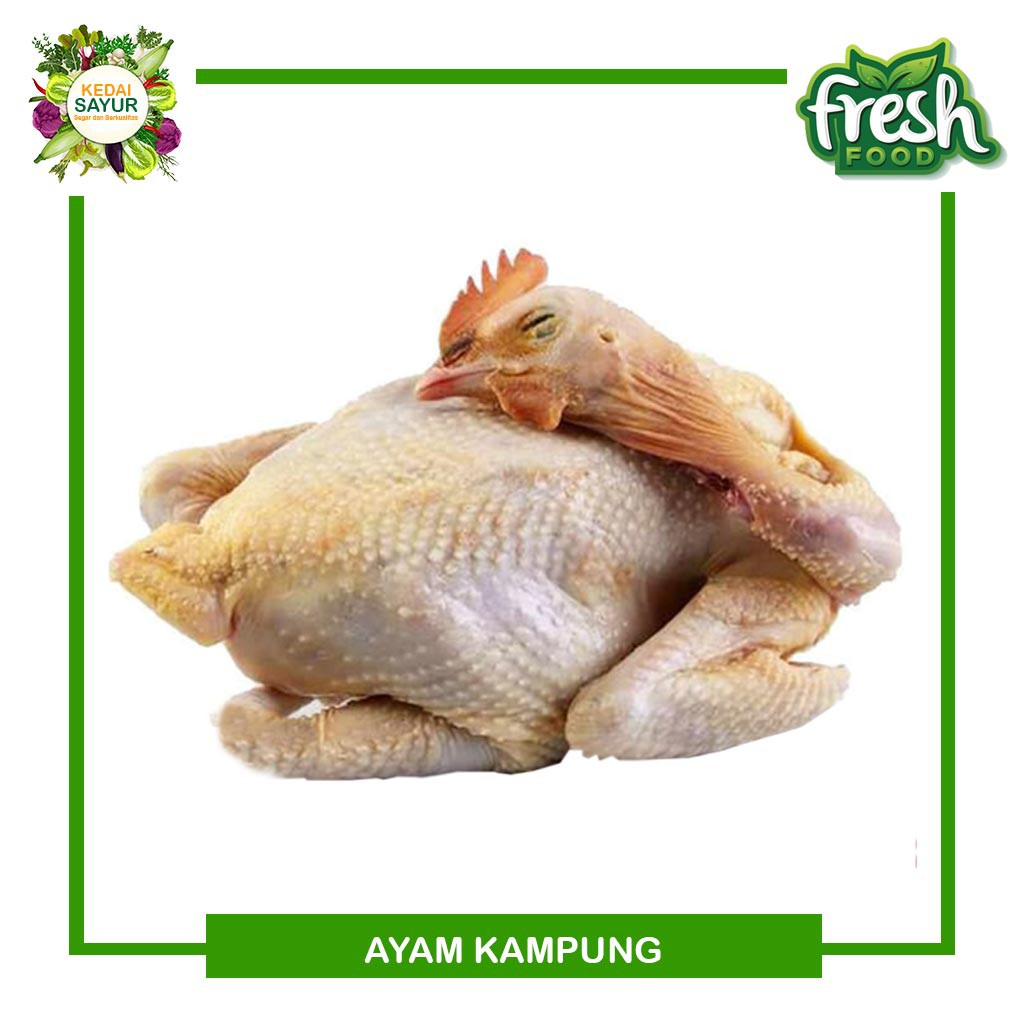 Jual Ayam Kampung Potong Dadakan Utuh Segar Gerai Sayur Ayam Segar